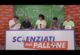 SCIENZIATI NEL PALLONE | Puntata post Pianese-Samb 1-1